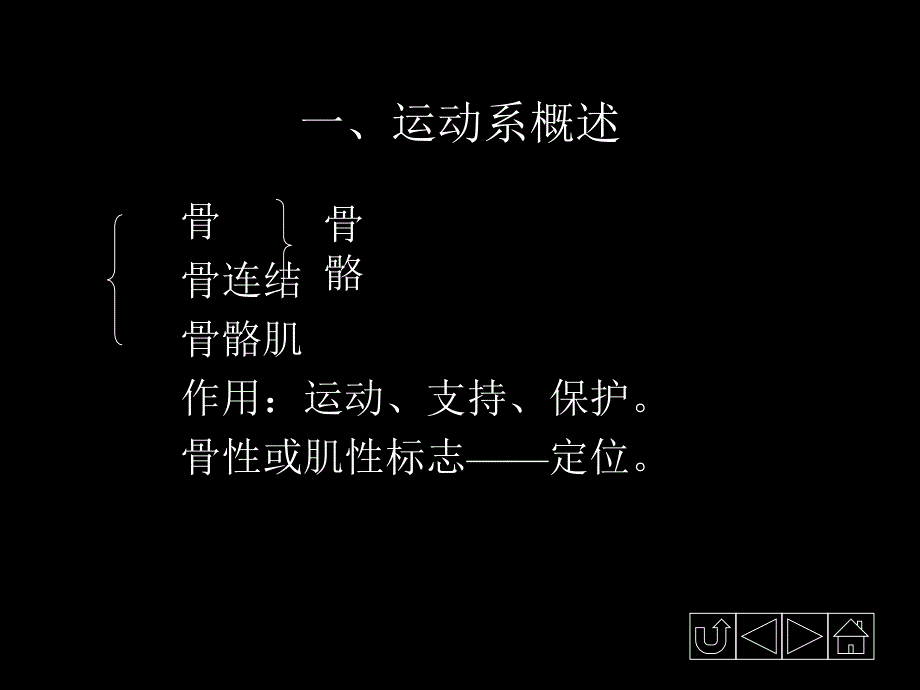 运动系统——骨学_第3页