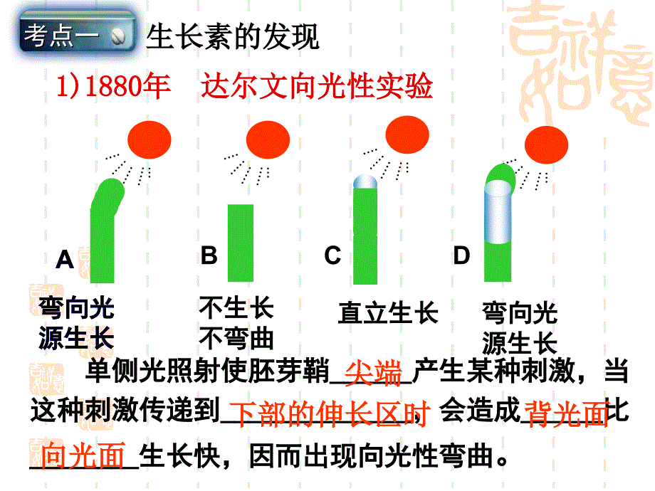 一轮复习植物的激素调节(必修3人教版)_第5页