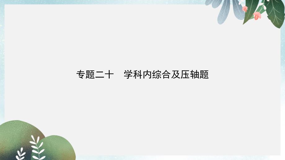 中考物理专题二十学科内综合及压轴题复习习题课件(同名369)_第1页