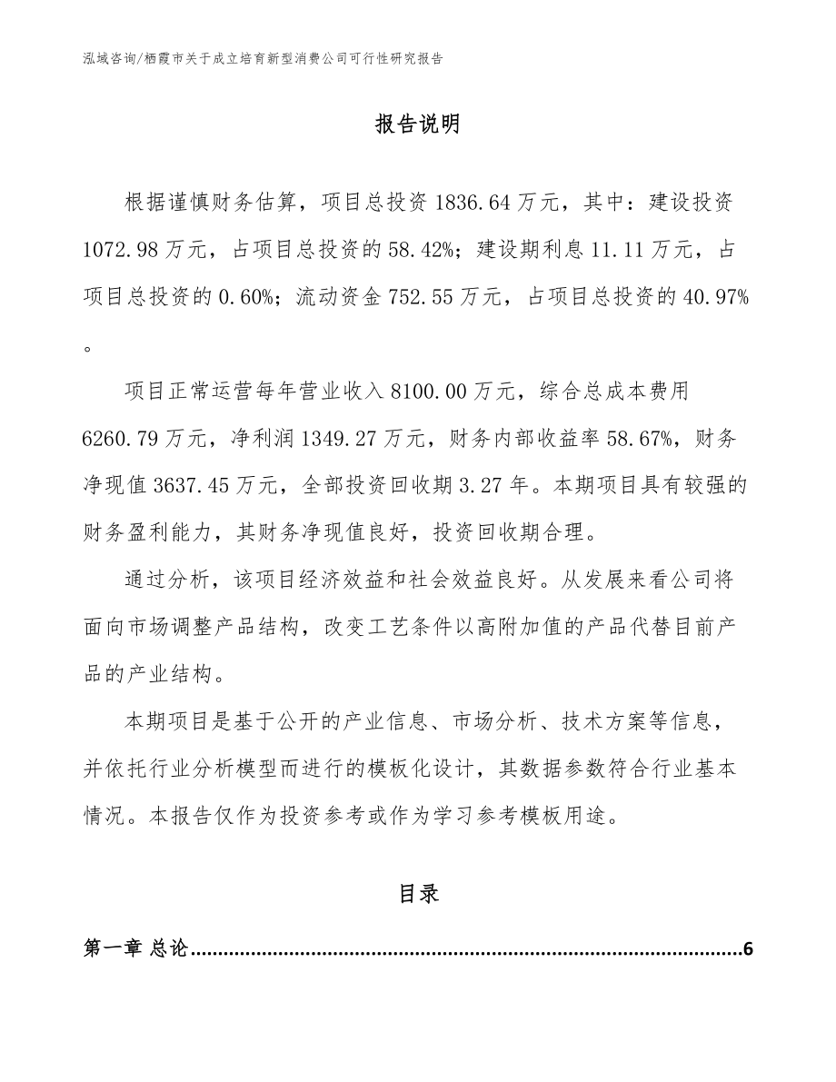 栖霞市关于成立培育新型消费公司可行性研究报告_模板范文_第1页