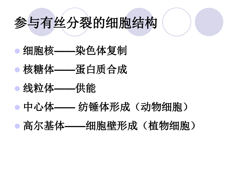 动植物的有丝图_第3页