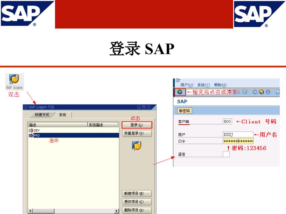 SAP基础操作通用手册_第4页