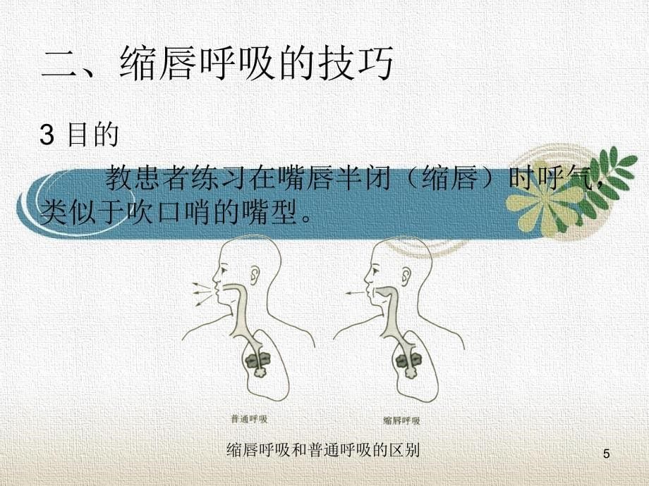 缩唇呼吸和有效咳嗽的技巧PPT参考幻灯片_第5页