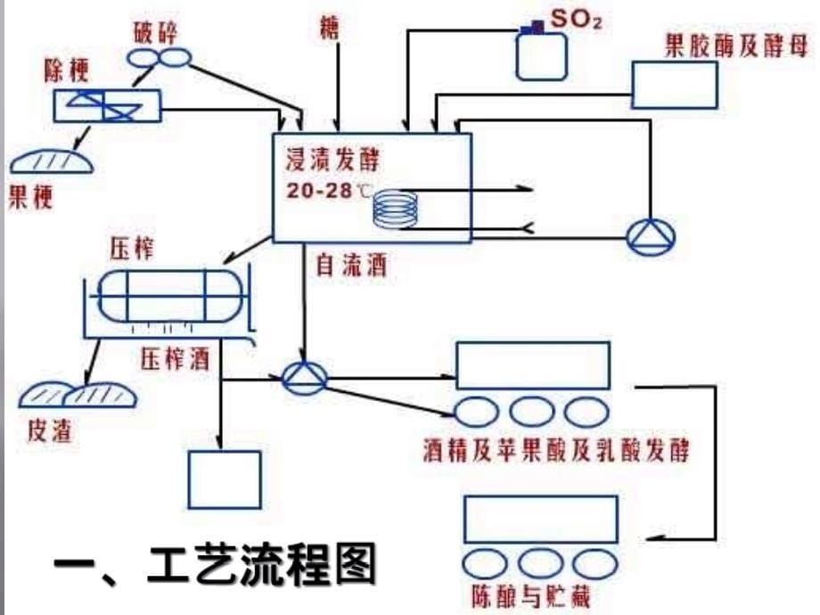 红葡萄酒酿造传统工艺研究_第5页