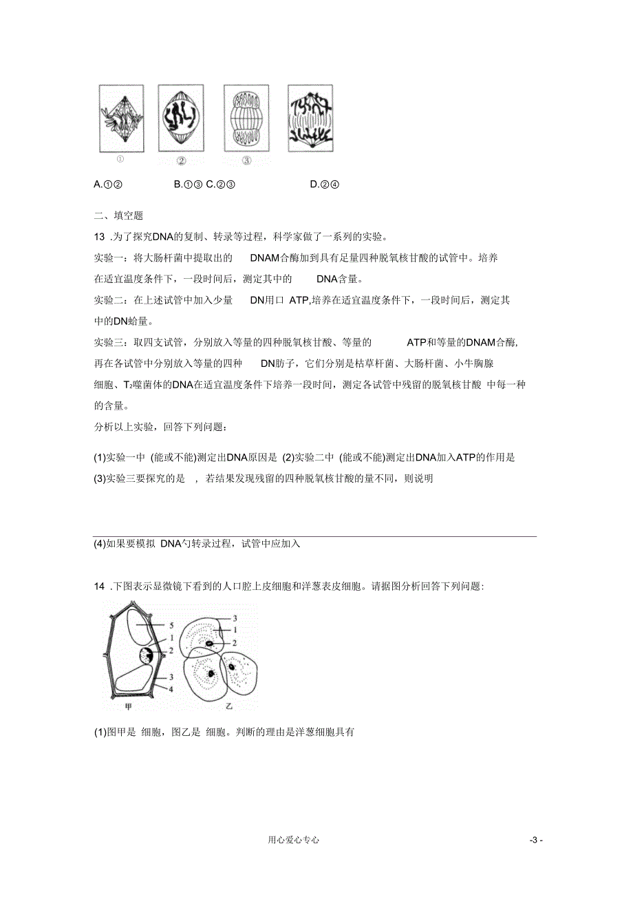 河南省漯河市三高2012届高三生物上学期期末复习题(五)_第3页