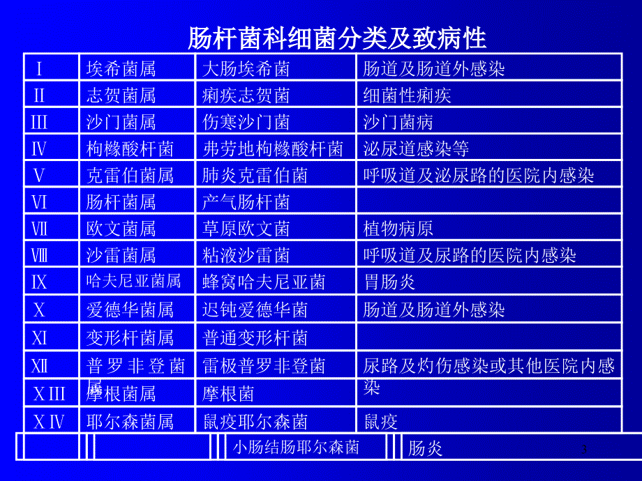 微生物埃希菌志贺菌ppt课件_第3页