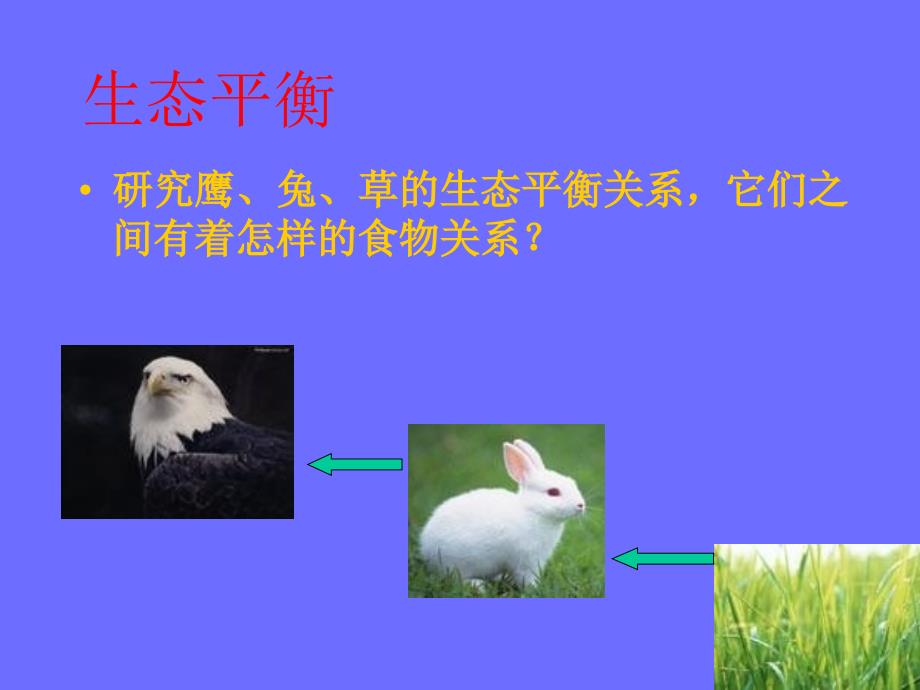 教科版科学五上《维护生态平衡》PPT课件9.ppt_第2页