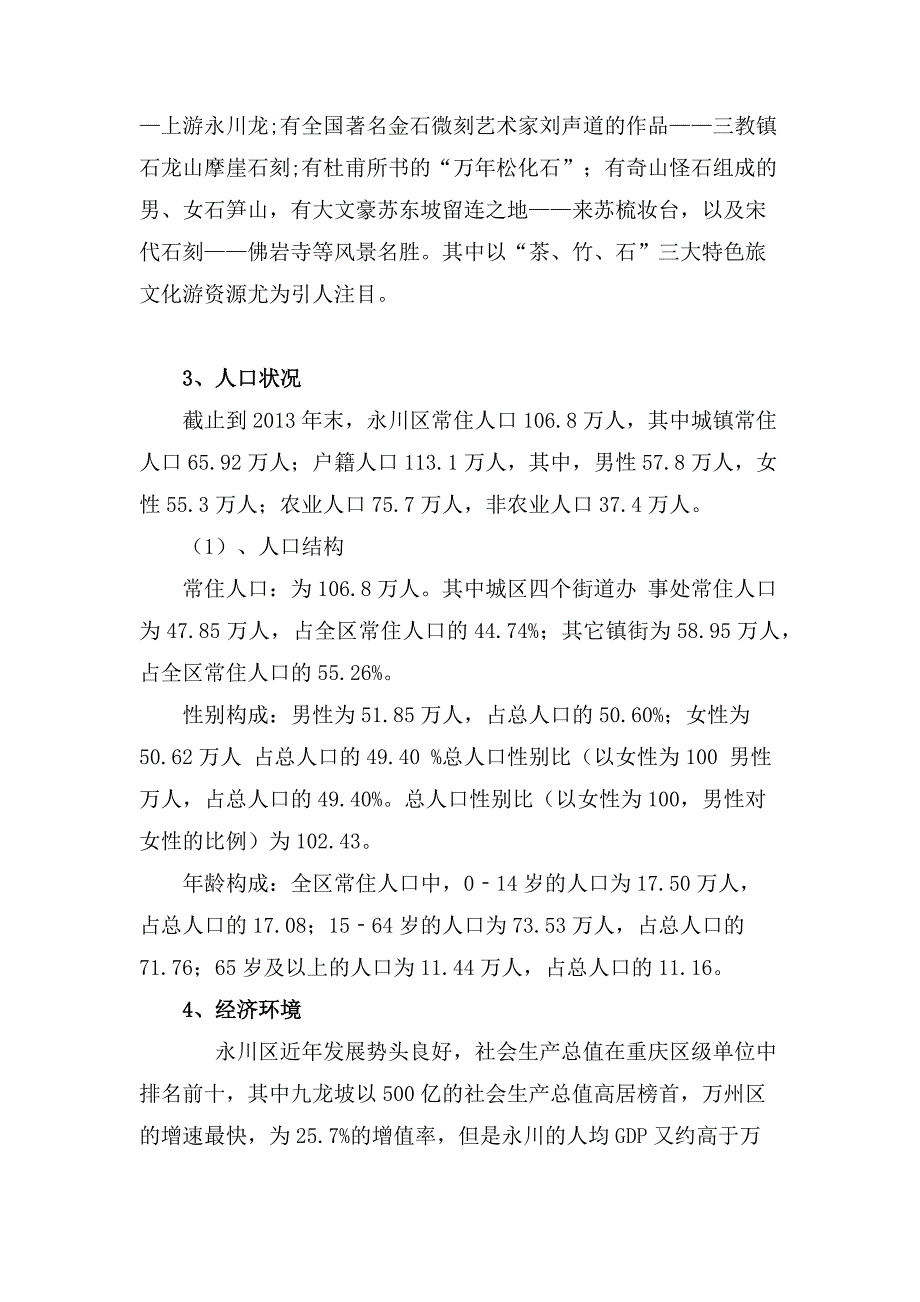 房地产策划报告_第4页