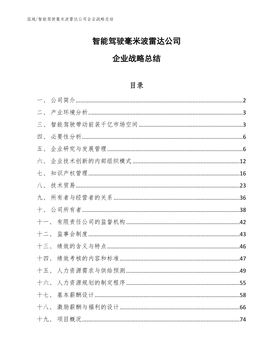 智能驾驶毫米波雷达公司企业战略总结_第1页