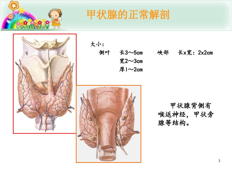 甲状腺结节的超声诊断与鉴别PPT课件_第3页