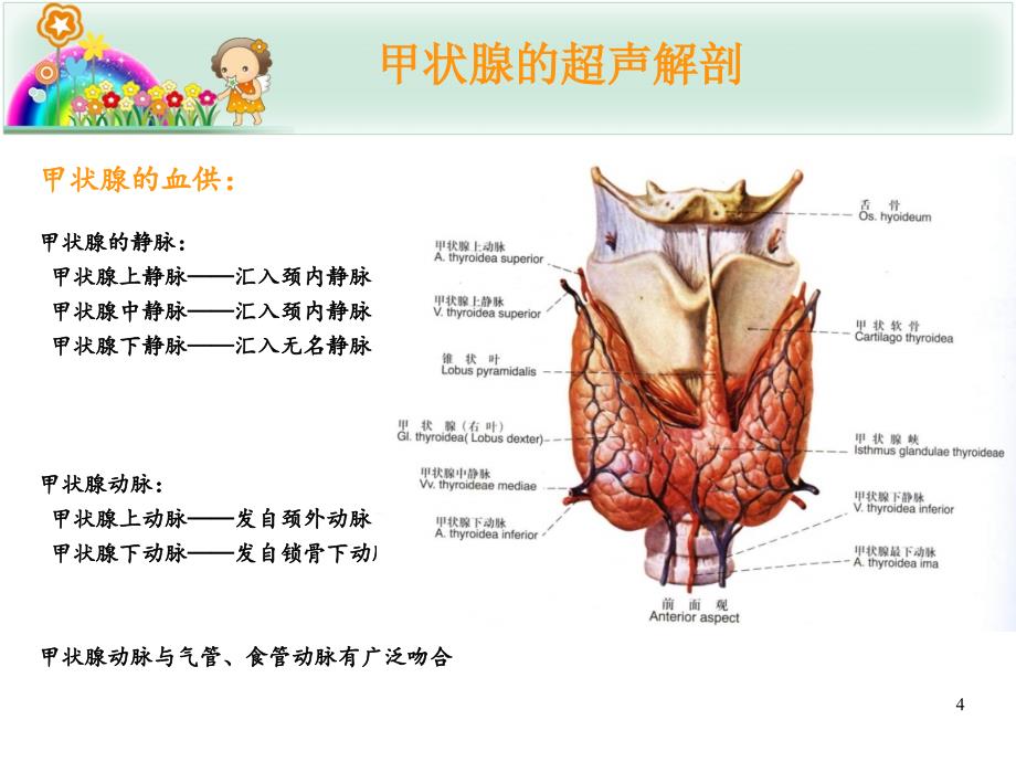 甲状腺结节的超声诊断与鉴别PPT课件_第4页