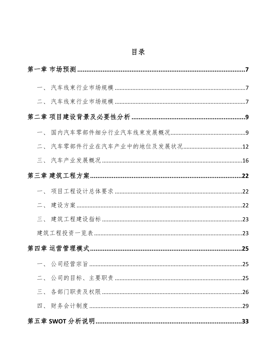福建汽车线束项目可行性研究报告_第3页