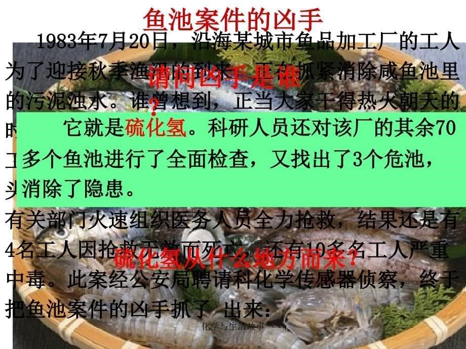 化学与生活故事课件_第5页