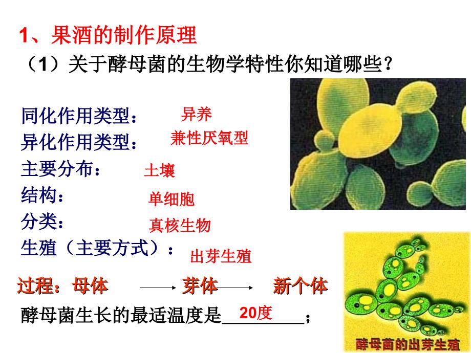 1.1果酒和果醋的制作课件骆丽花_第4页