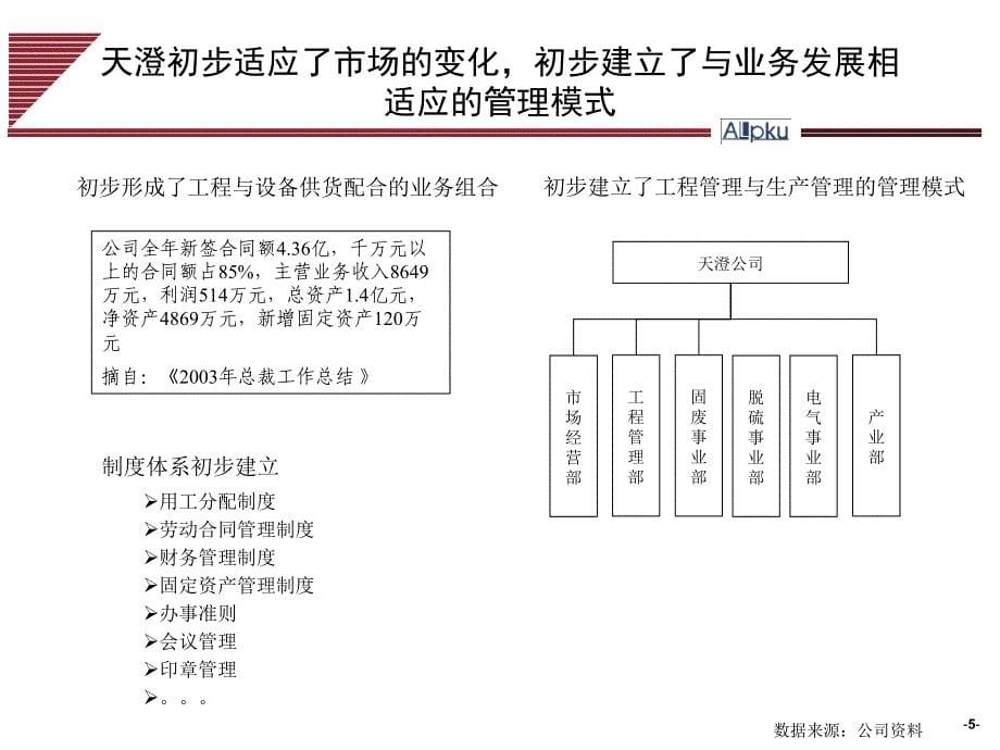 战略梳理与诊断报告_第5页