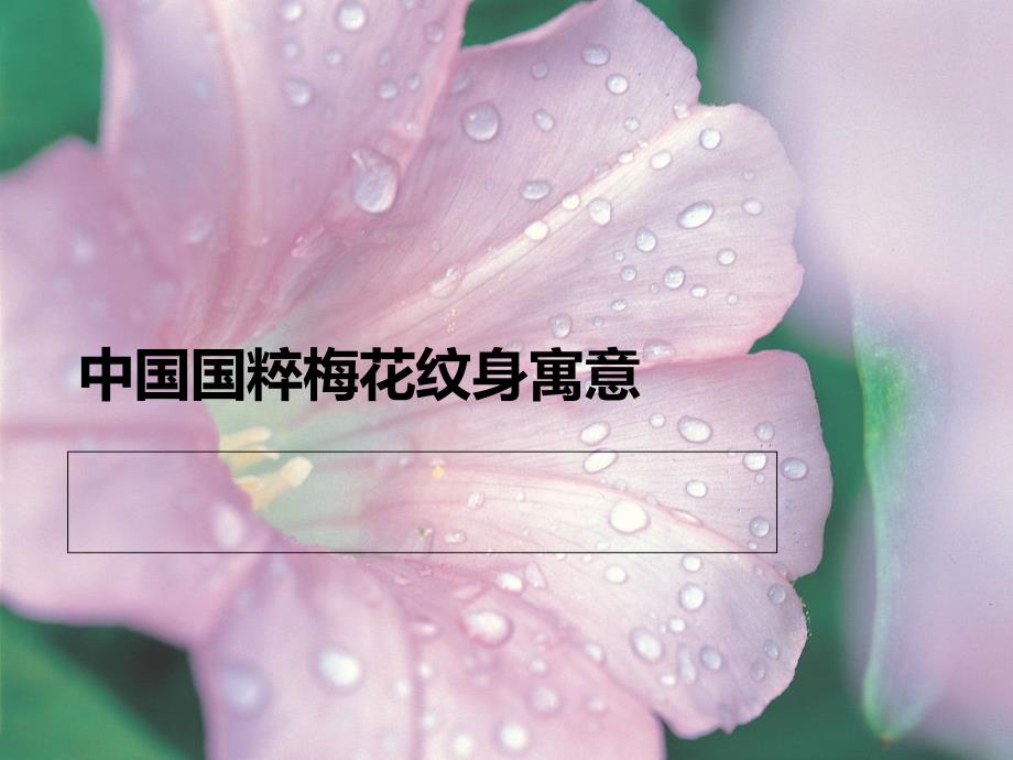 中国国粹梅花纹身寓意.ppt_第1页
