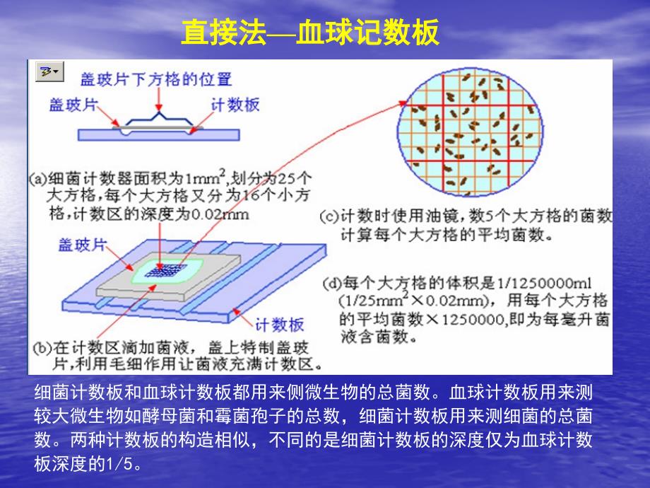 细菌菌落计数1_第3页