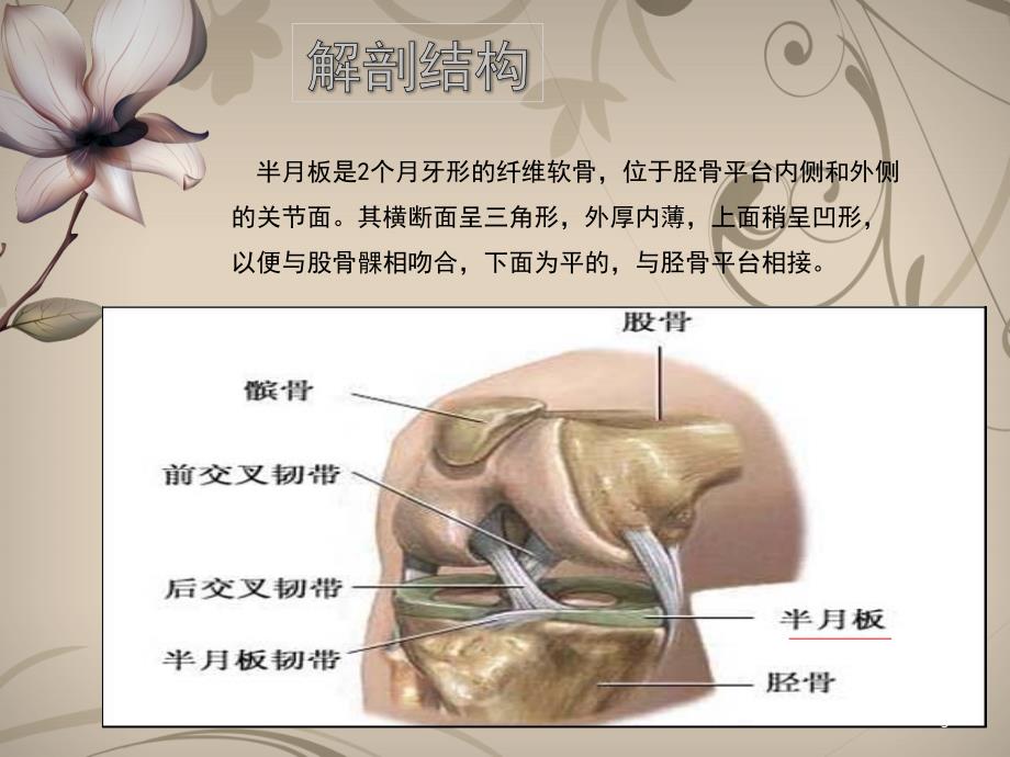 半月板损伤护理PPT课件_第3页