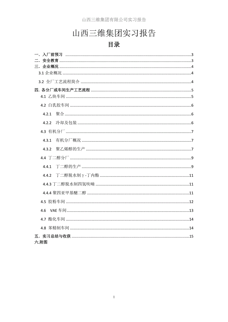 三维集团实习.doc_第1页