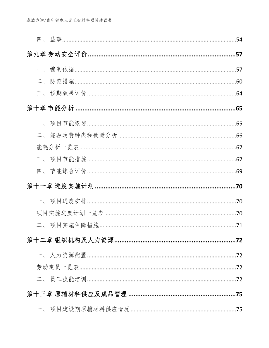 咸宁锂电三元正极材料项目建议书（模板）_第3页