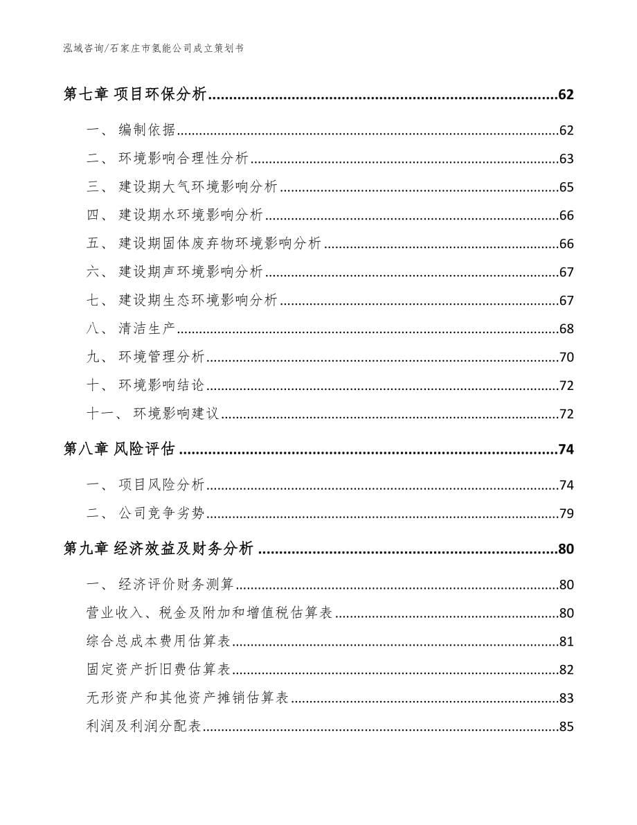 石家庄市氢能公司成立策划书_模板范本_第5页