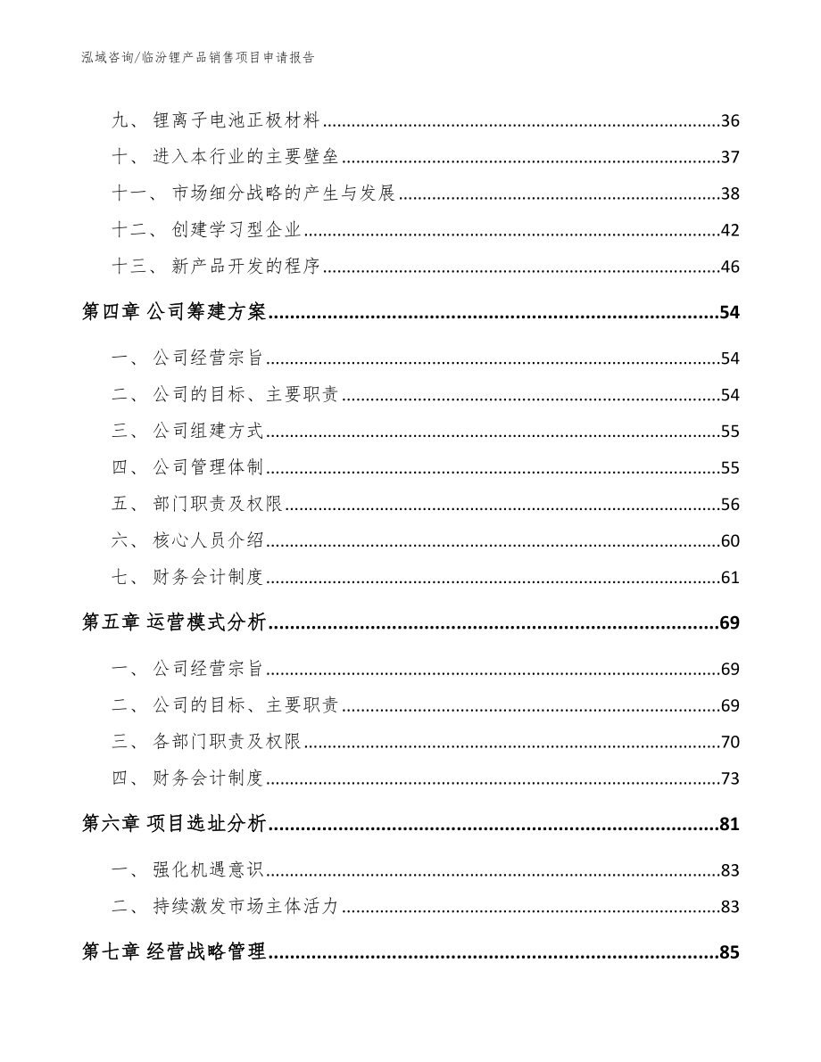 临汾锂产品销售项目申请报告【模板范本】_第3页