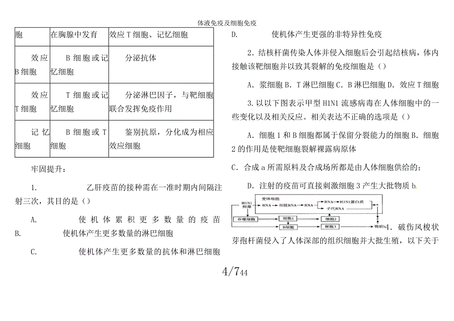 体液免疫及细胞免疫.doc_第4页