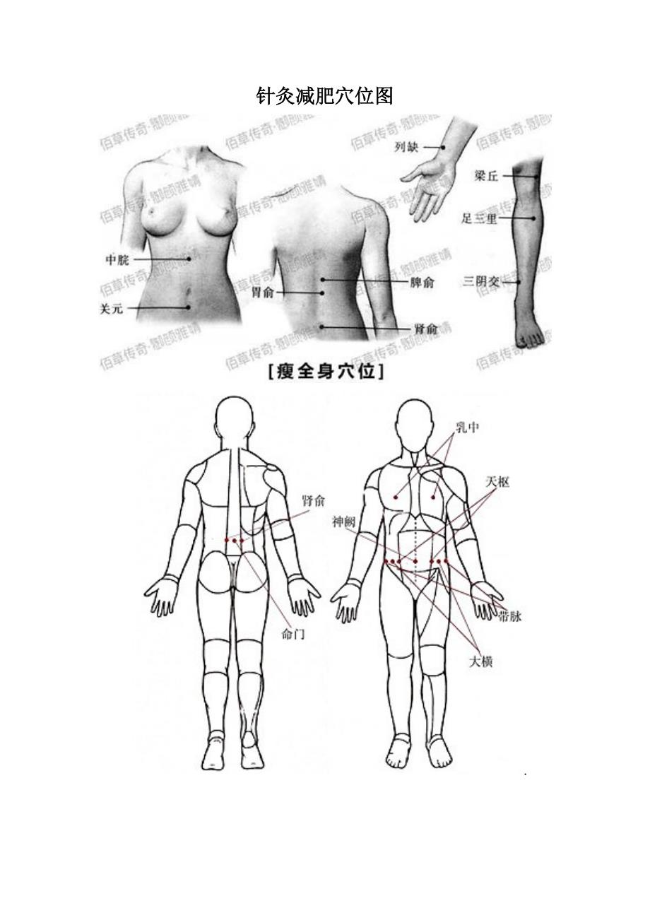 针灸减肥穴位图.doc_第1页