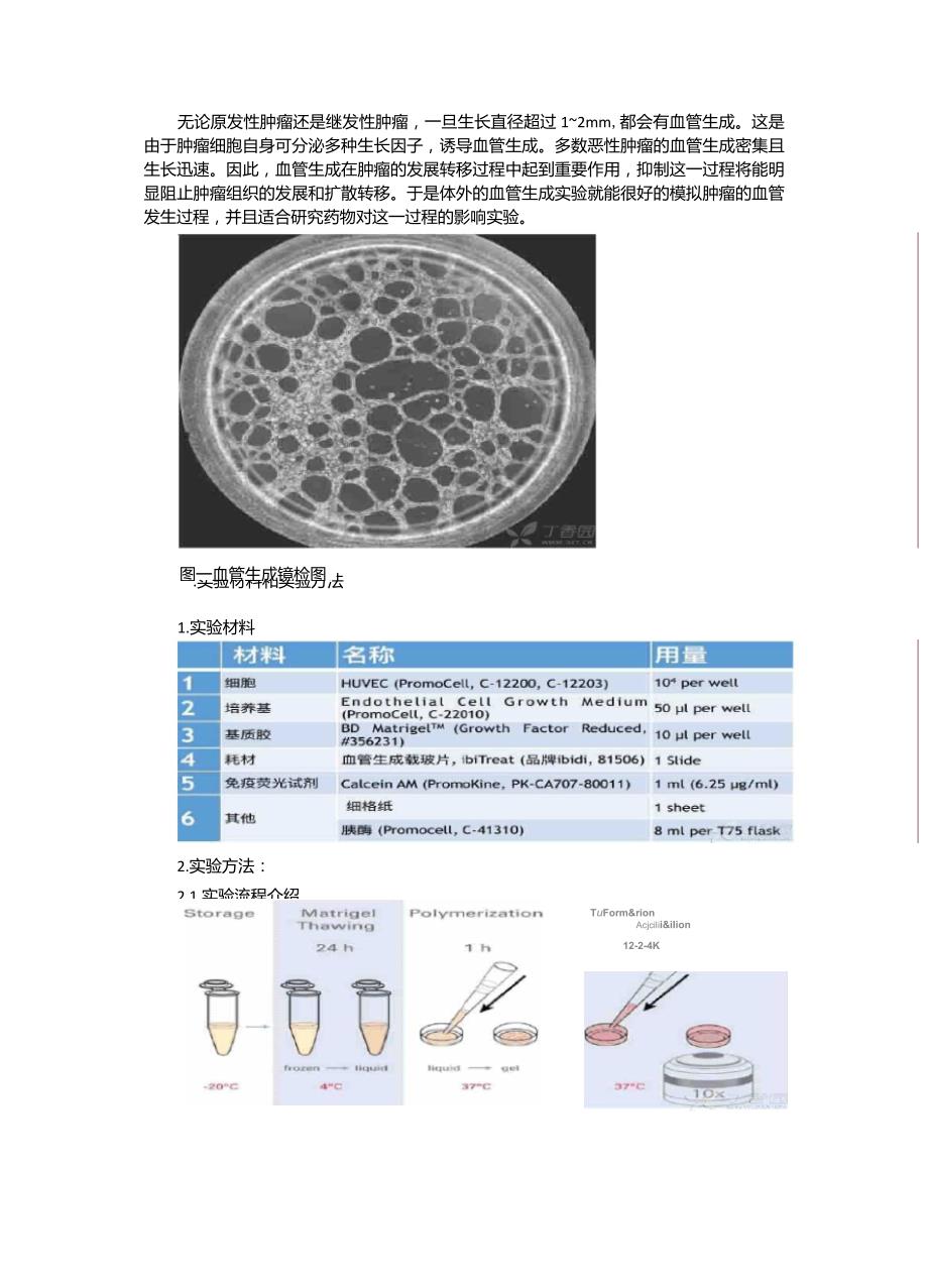 血管生成实验步骤实验方法完善版_第1页