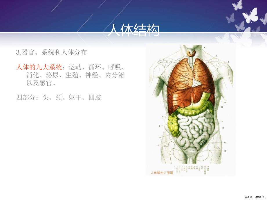 保健按摩师培训课件_第4页