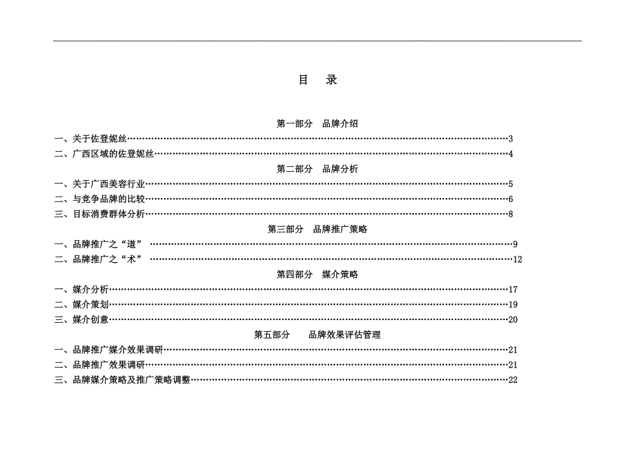 佐登妮丝品牌区域策略案_第2页