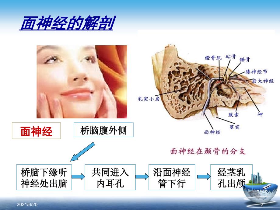 面神经麻痹PPT课件(参考2016年诊治指南)_第2页