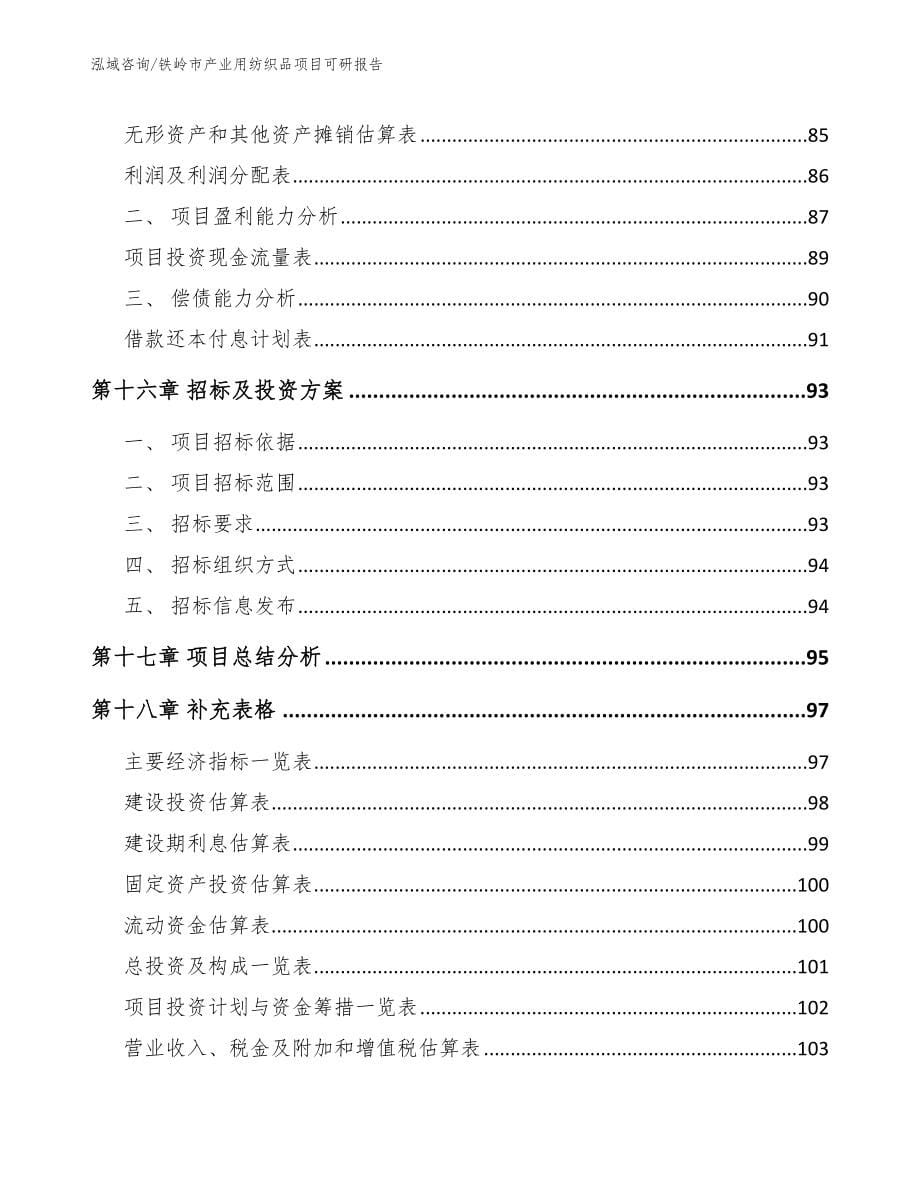 铁岭市产业用纺织品项目可研报告_第5页