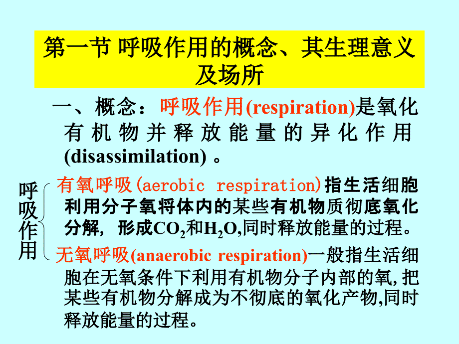 植物生理学：04呼吸作用_第3页