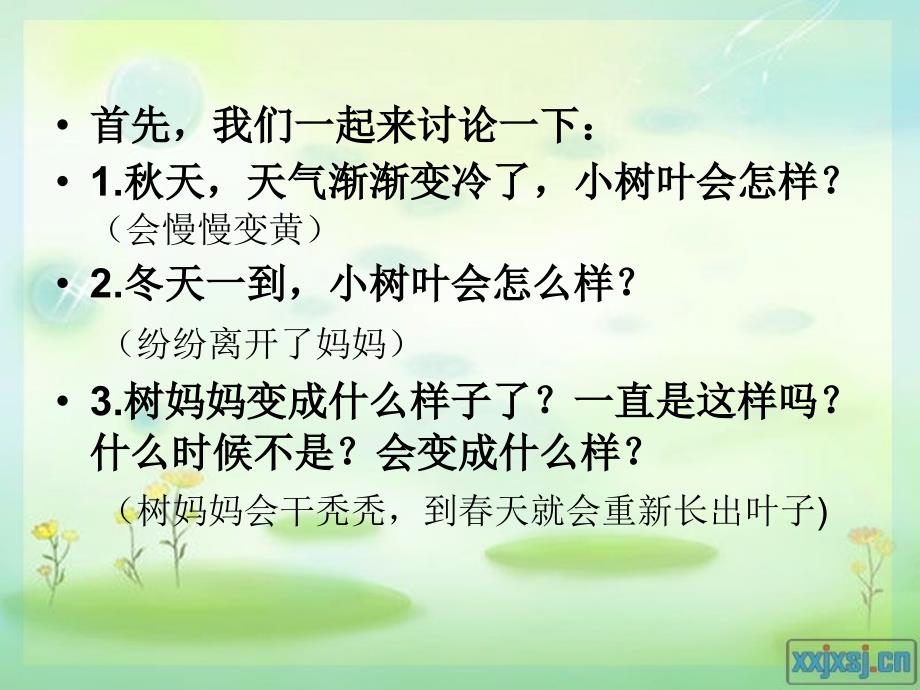 认识：常绿树与落叶树.ppt_第4页