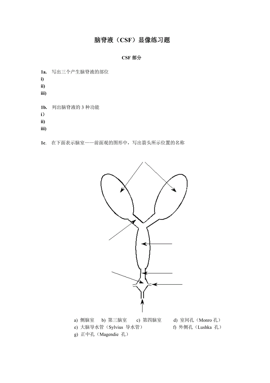 脑脊液（CSF）显像练习题-CSF部分_第1页