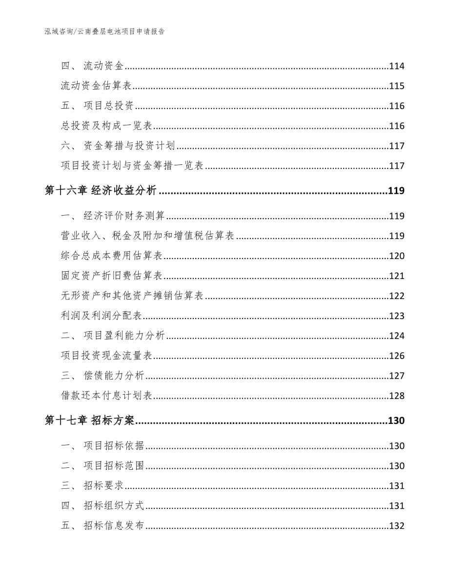 云南叠层电池项目申请报告_第5页