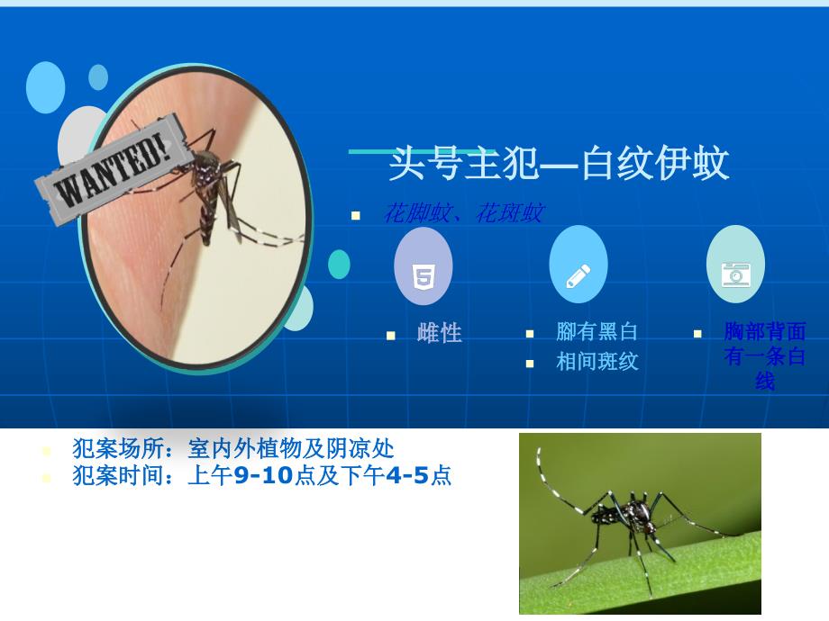 国家登革热诊疗指南_第4页