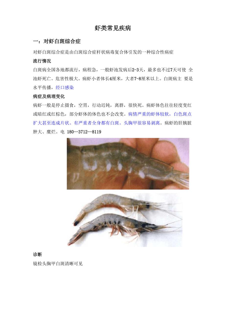 虾类常见疾病及治疗方案_第1页