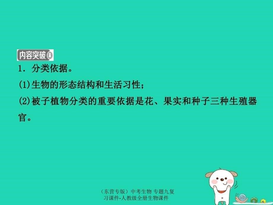 中考生物专题九复习课件_第5页