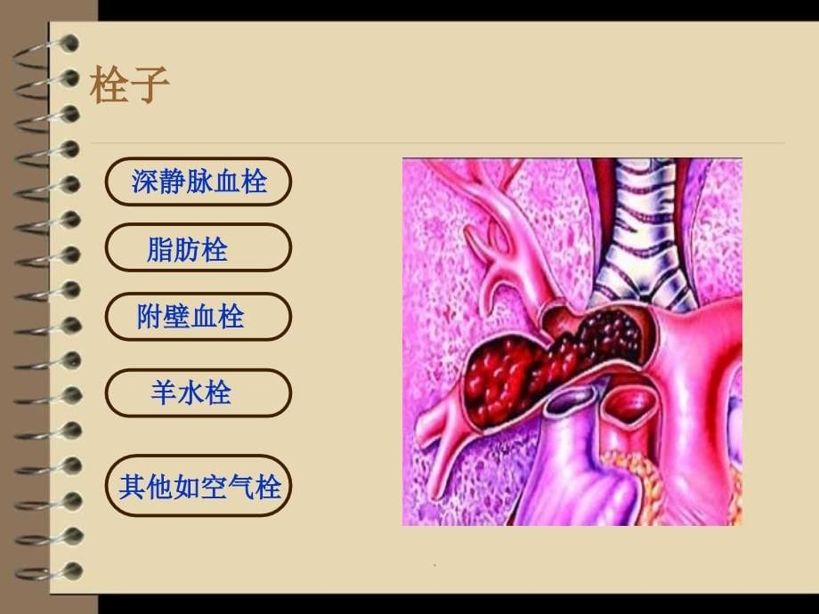 肿瘤学概论PPT演示课件_第5页