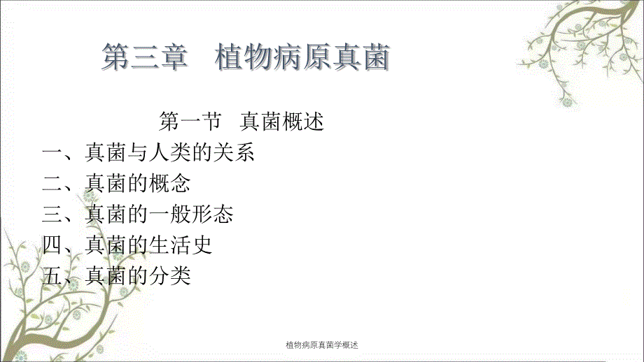 植物病原真菌学概述_第1页