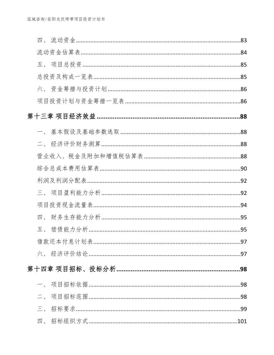 岳阳光伏焊带项目投资计划书【参考范文】_第5页