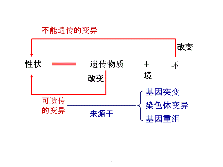 第5章基因突变及其他变异复习_第3页