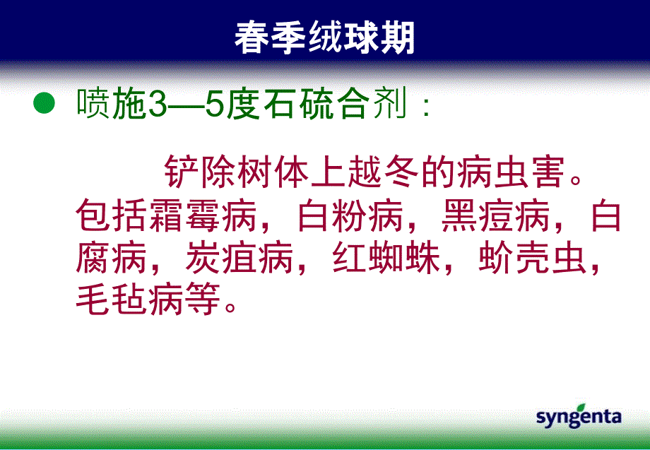 葡萄病虫害防治方案郑文华课件_第4页