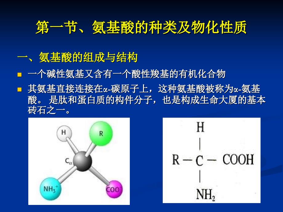 氨基酸类药物最新PPT课件_第3页