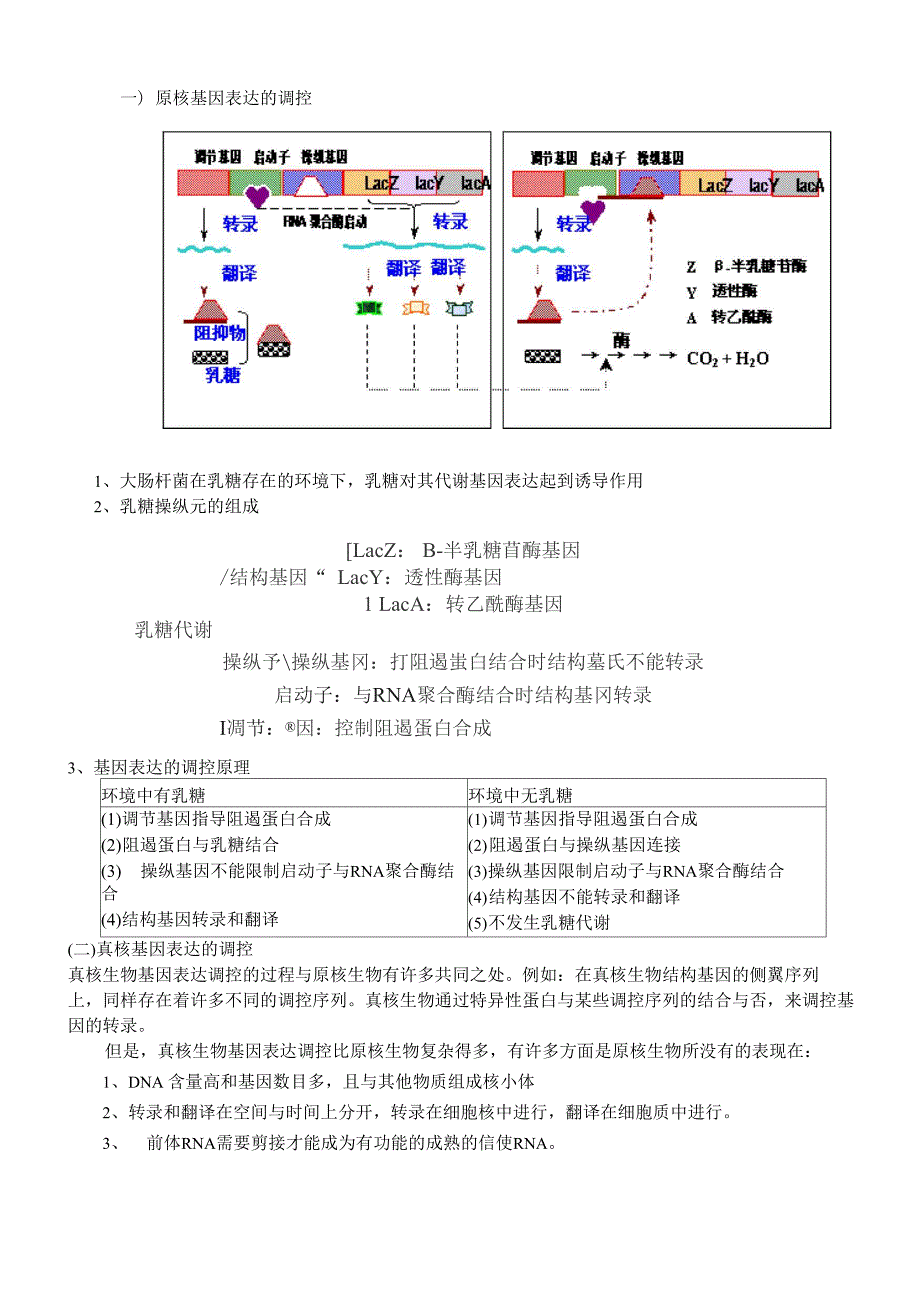 基因的结构与表达调控_第2页