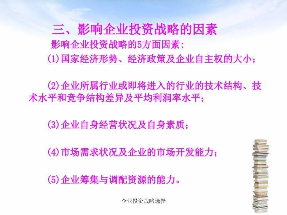 企业投资战略选择课件_第5页