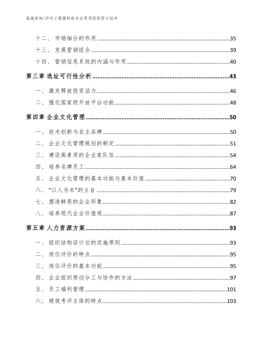 泸州工程塑料技术应用项目投资计划书（范文）_第3页