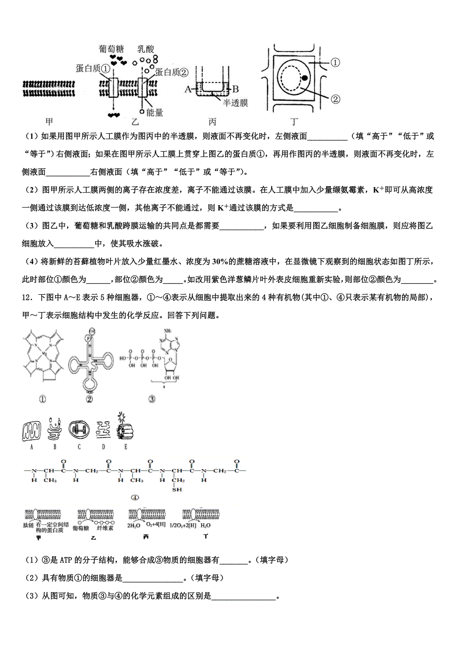 2023届浙江省杭州市桐庐县分水高中生物高二第二学期期末监测模拟试题（含解析）.doc_第4页